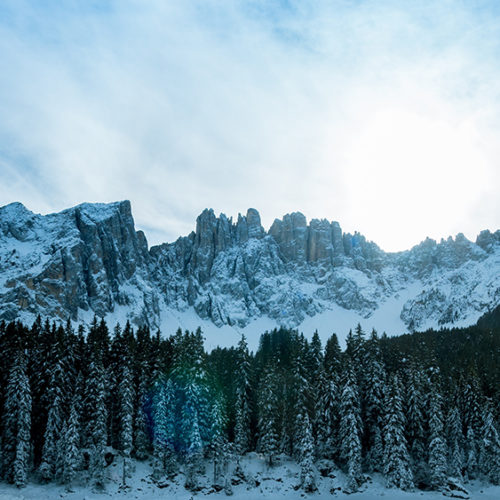 Snowy mountains and trees