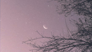 Crescent moon in night sky