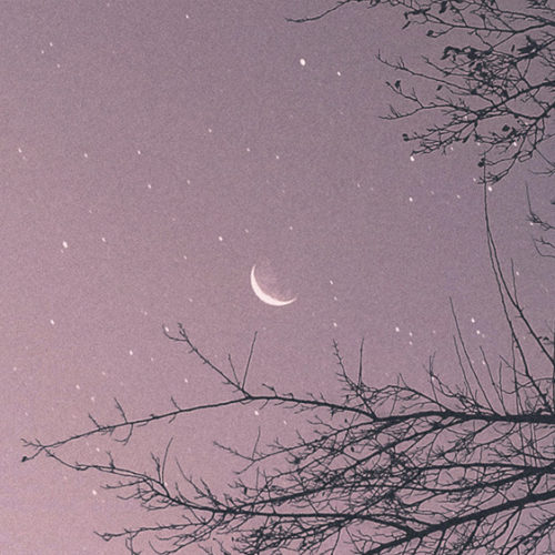 Crescent moon in night sky