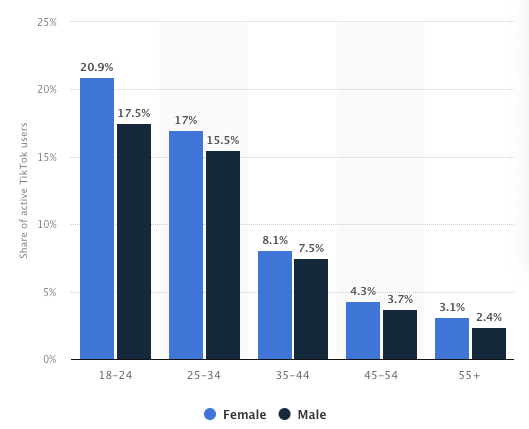 tiktok users by age and gender