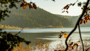 Lake