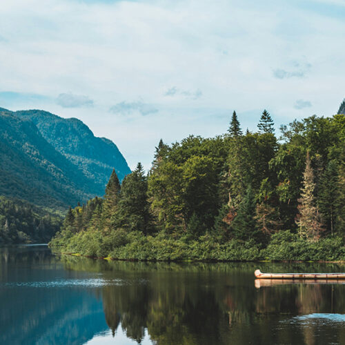 Lake by the trees and mountains