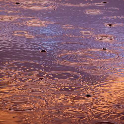 raindrops on open water