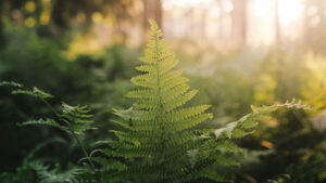 How Much Does Amazon Advertising Really Cost in 2025? A Complete Pricing Breakdown