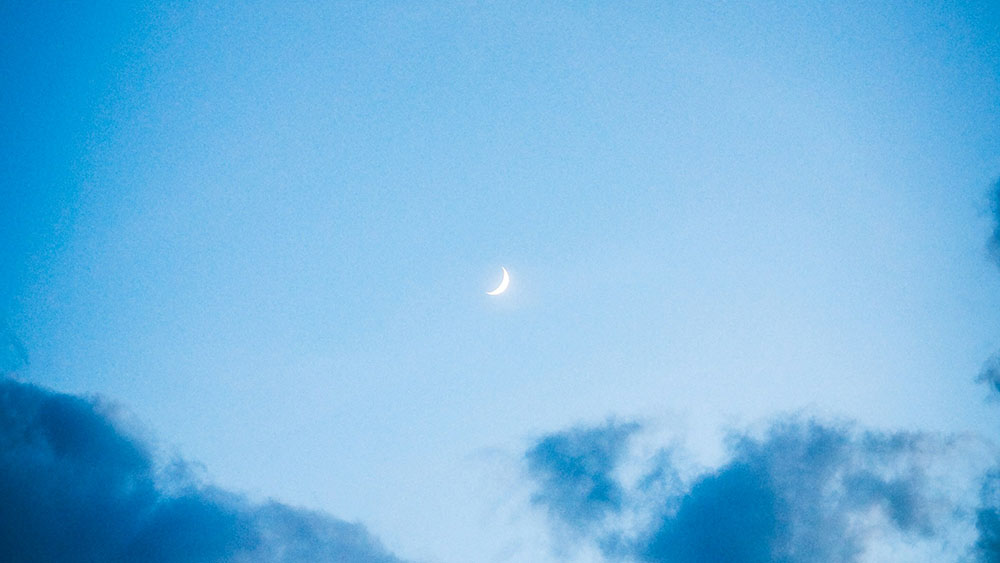 Fractional CMO vs. Full-Time CMO: Which One Do You Need?