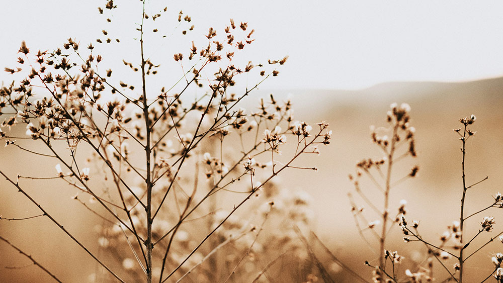 How Big is California? Size Comparisons and Geographic Facts