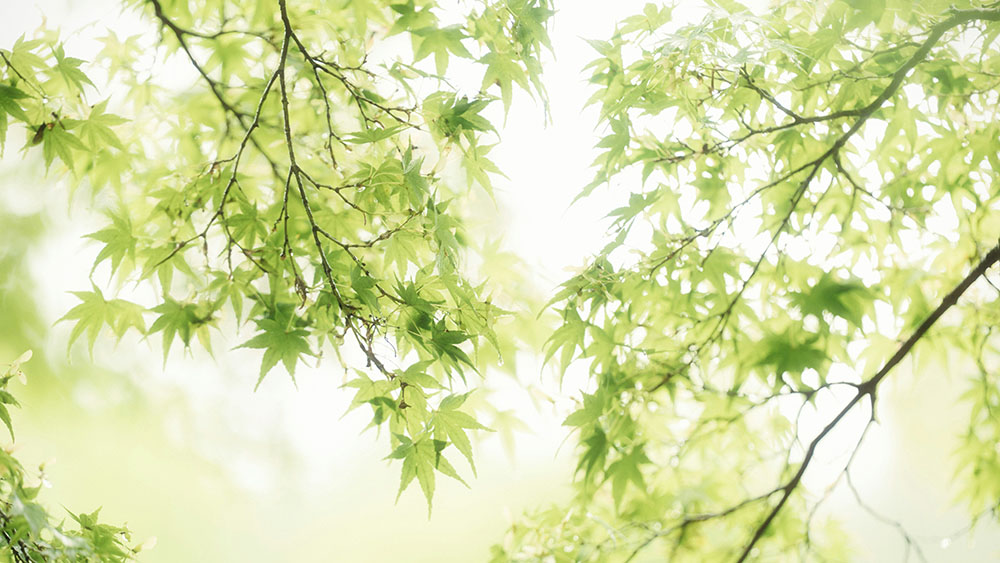 How to Create Paid Search Ads that Work