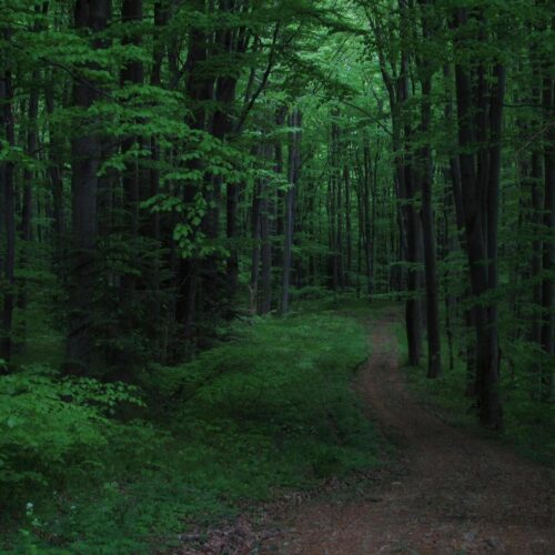 What Is Amazon Advertising? Your Complete Guide to Selling More Products