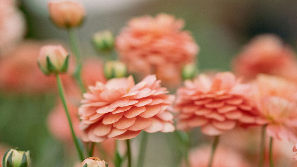 Creative Strategy Tips for Paid Search Marketers