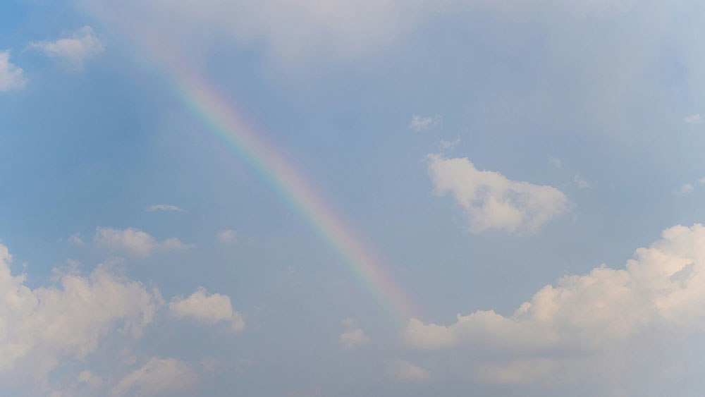 Black Friday Checklist for Google Ads