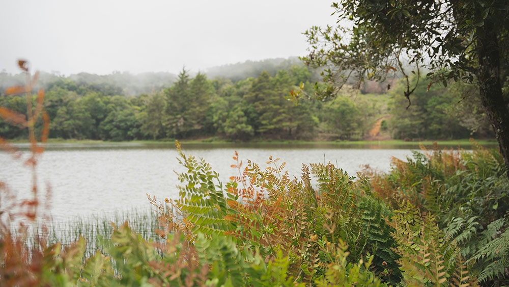 What to Look for in a Great Report