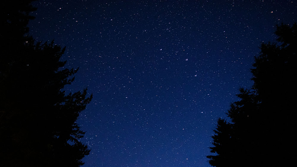 Black Friday Checklist for Q4