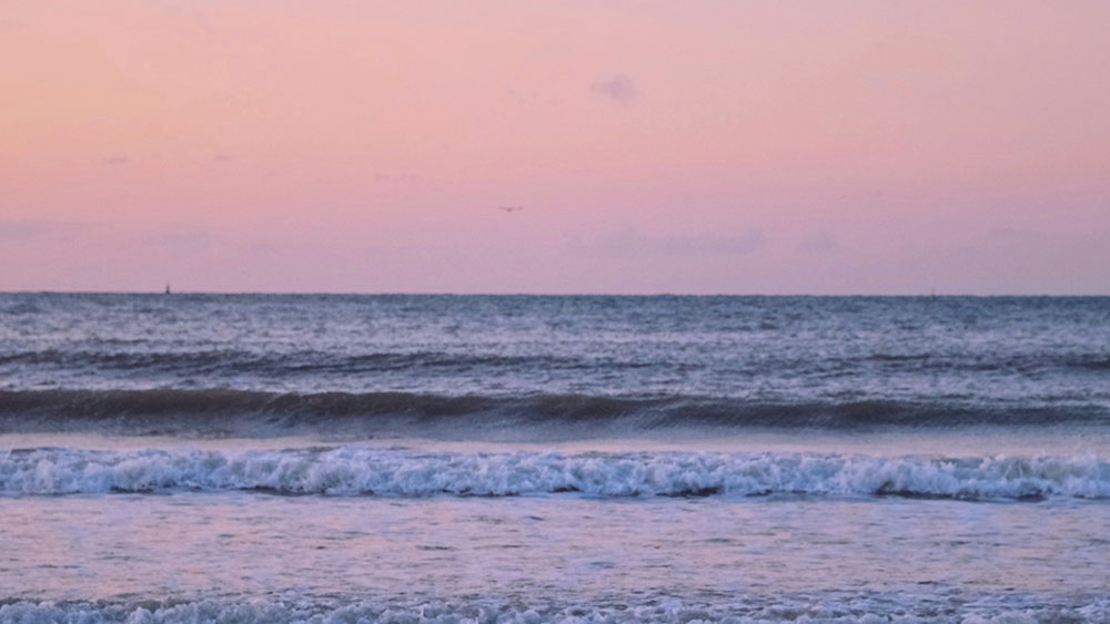 Black Friday Cyber Monday: How to Prepare in Q4