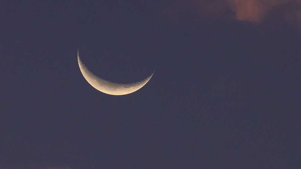 Black Friday Last-Minute Checklist